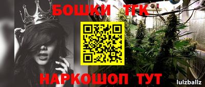 крисы Бузулук