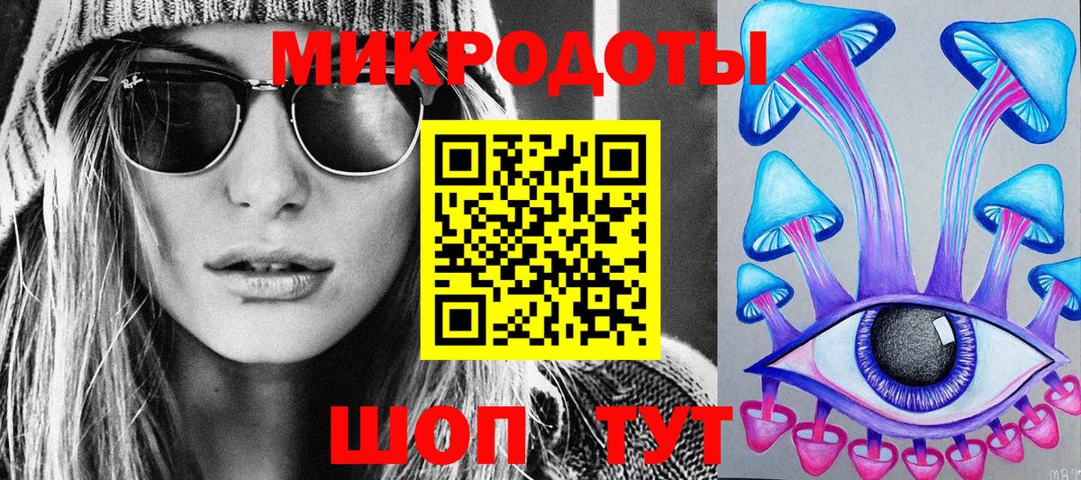 Псилоцибиновые грибы Psilocybe Людиново