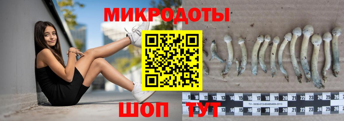 Людиново  Галлюциногенные грибы мицелий  Вход с VPN 
